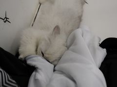 -白夜2D咖啡馆
