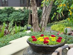 -四季酒店下午茶