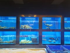 水产区-金时代顺风大酒店(临港百联店)