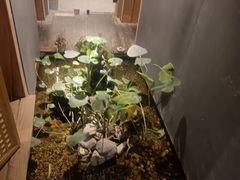 -邈墨茶馆(凤起路店)