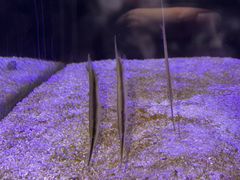 -厦门海底世界