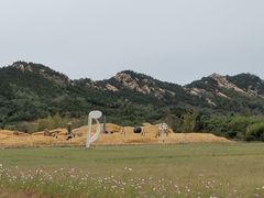 -西海岸生态观光园