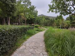 -府君山公园