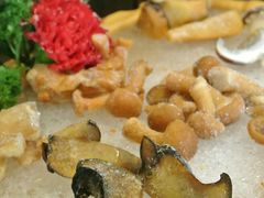 云南运过来菌类拼盘-滇釜火锅·能喝汤的火锅(车公庄店)