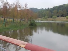 -东莞植物园