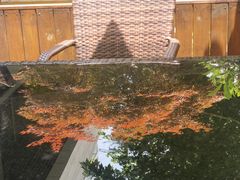 -中国科学院上海有机化学研究所客座人员公寓