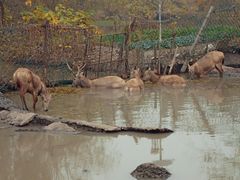 -溱湖国家湿地公园