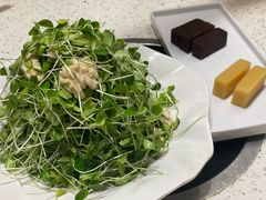 香椿苗拌桃仁-玉林烤鸭店(小西天店)