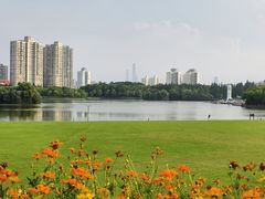 -黄兴公园