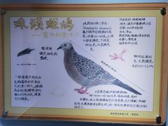 -上海昆虫博物馆