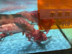 -国惠大酒楼(仓山万达店)