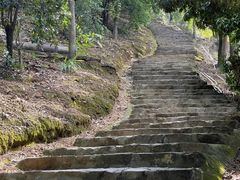 -风云岭森林公园