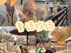 -盈香心动乐园