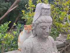 -福州开元寺