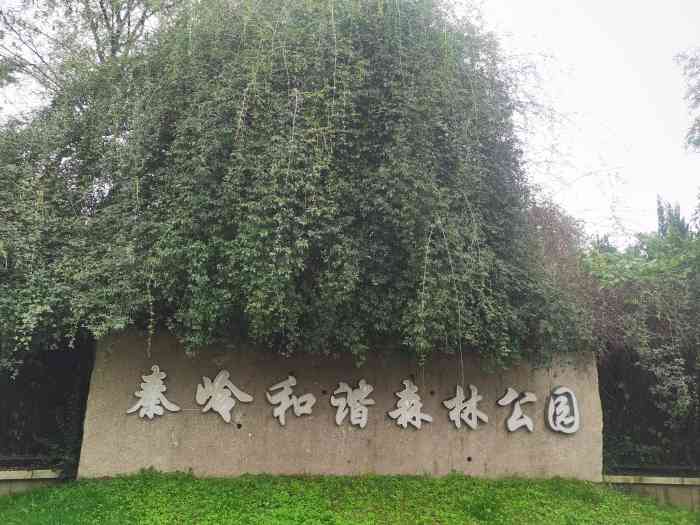 秦岭和谐森林公园