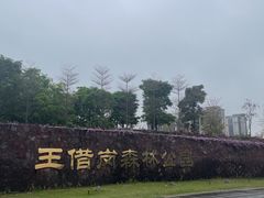 -王借岗森林公园