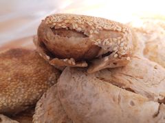 素烧饼-李小老烧饼(常营民族家园店)