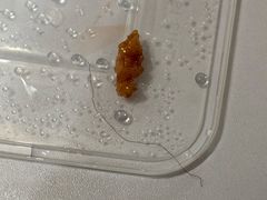 -苏闽菜馆(鞍山道店)