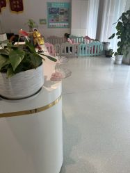 -Dr.林醫生产后修复·配方产康店(南京大厂店)