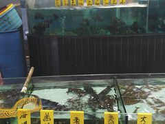 -松雅轩商务婚礼生日(同和店)