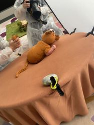 -杭州医学院附属妇儿医院