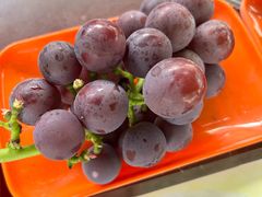 -马陆小张葡萄园农家乐