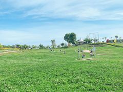 -紫颐香薰山谷景区