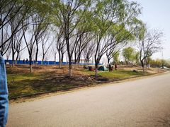 -永定河休闲森林公园