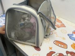 -纳吉亚猫专科动物诊疗中心(蒋宅口分院)