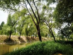 景点-东方巨龟苑景区