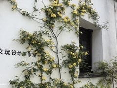 -青果巷历史文化街区