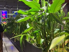 -管氏翅吧(台湾街店)