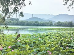 -颐和园