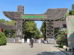 -溱湖国家湿地公园