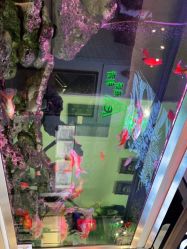 -雕哥的纹身店A3 TATTOO&纹身培训