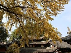 -成都市文殊院
