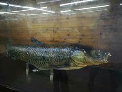 -南京金牛湖风景区