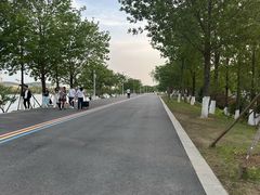 -羊山湖公园