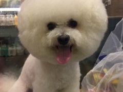 -PETKIT小佩宠物(古北店)