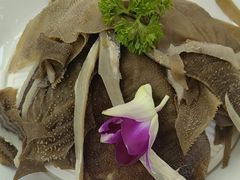 -蒙星月涮肚火锅城(宏运家园店)