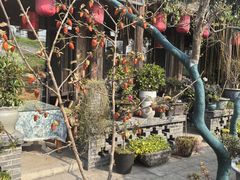 -头上红煨盐鸡·非遗院子餐厅