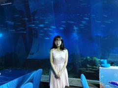-海棠湾洲际-涛·海底餐厅·美人鱼·自助餐·海底隧道