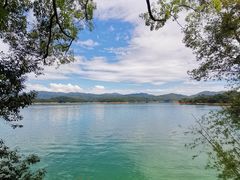 -广州市流溪河国家森林公园