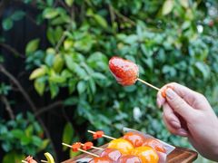 -云里小坐·小院里·团建·宴请·下午茶(三圣乡店)