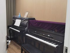 -珠江钢琴艺术中心(文一路店)