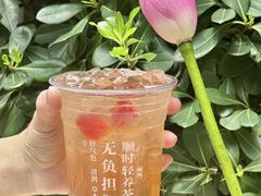 -炖物24章·顺时轻养茶(杭州大厦店)