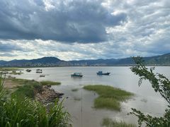 -北岐滩涂