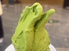 -野人先生现做冰淇淋(西安赛格店)