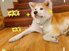 -YCHL Studios健身工作室(市二宫店)