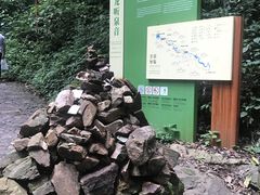 -莫里热带雨林景区